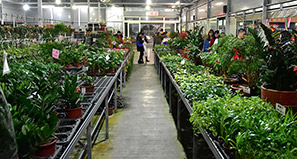 pic_price_03